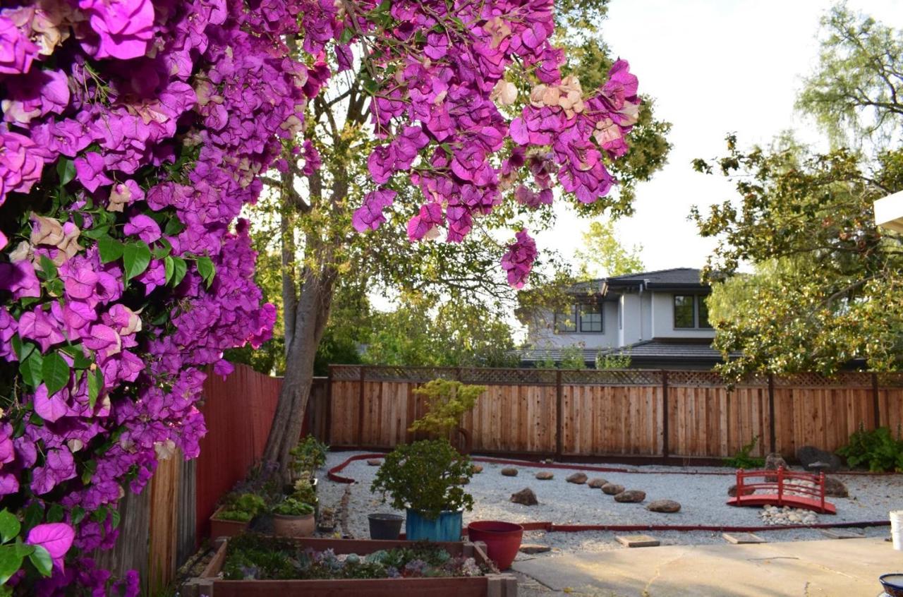 Palo Alto Quiet 1 Bedroom Stanford University מראה חיצוני תמונה