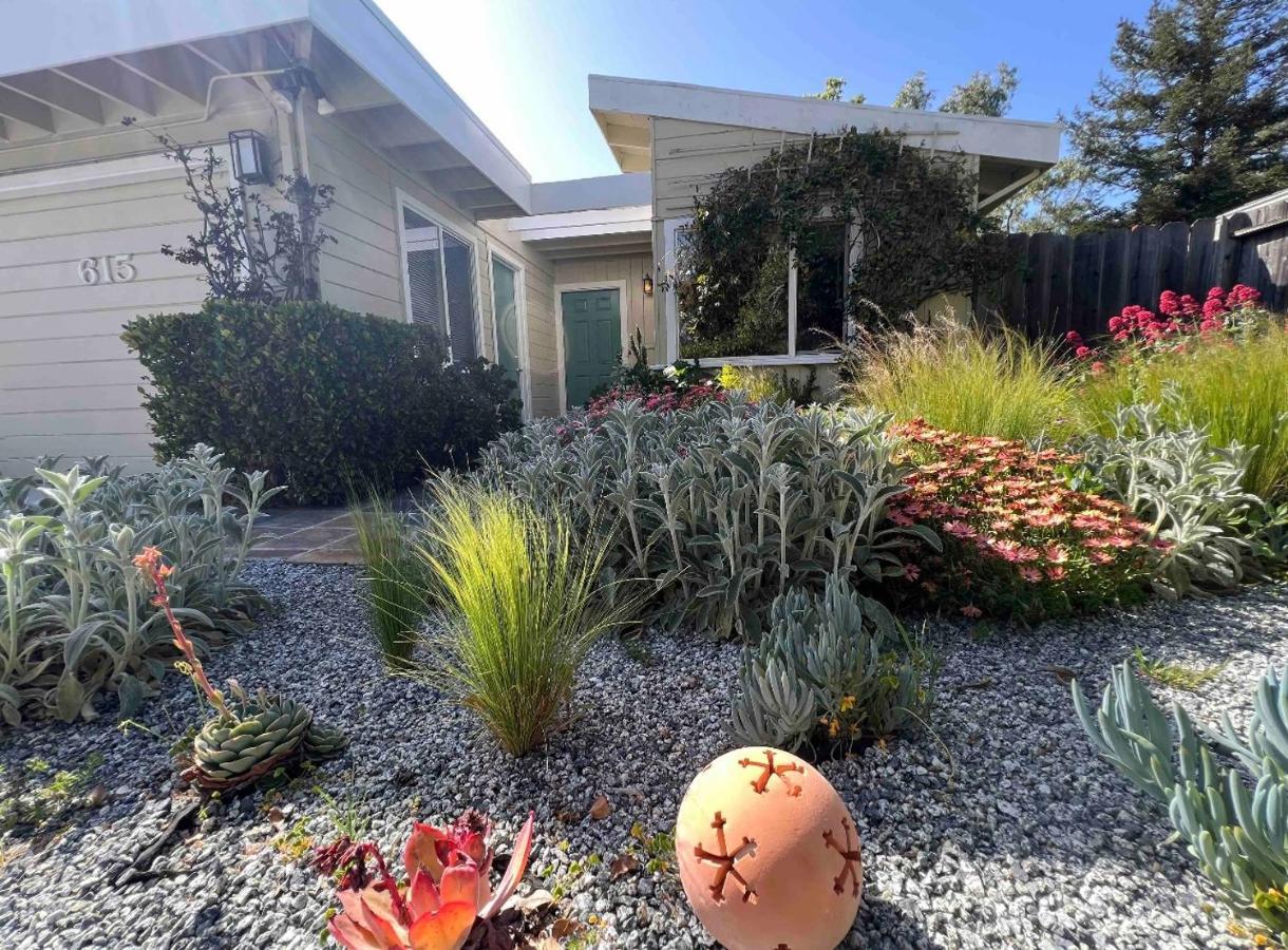 Palo Alto Quiet 1 Bedroom Stanford University מראה חיצוני תמונה
