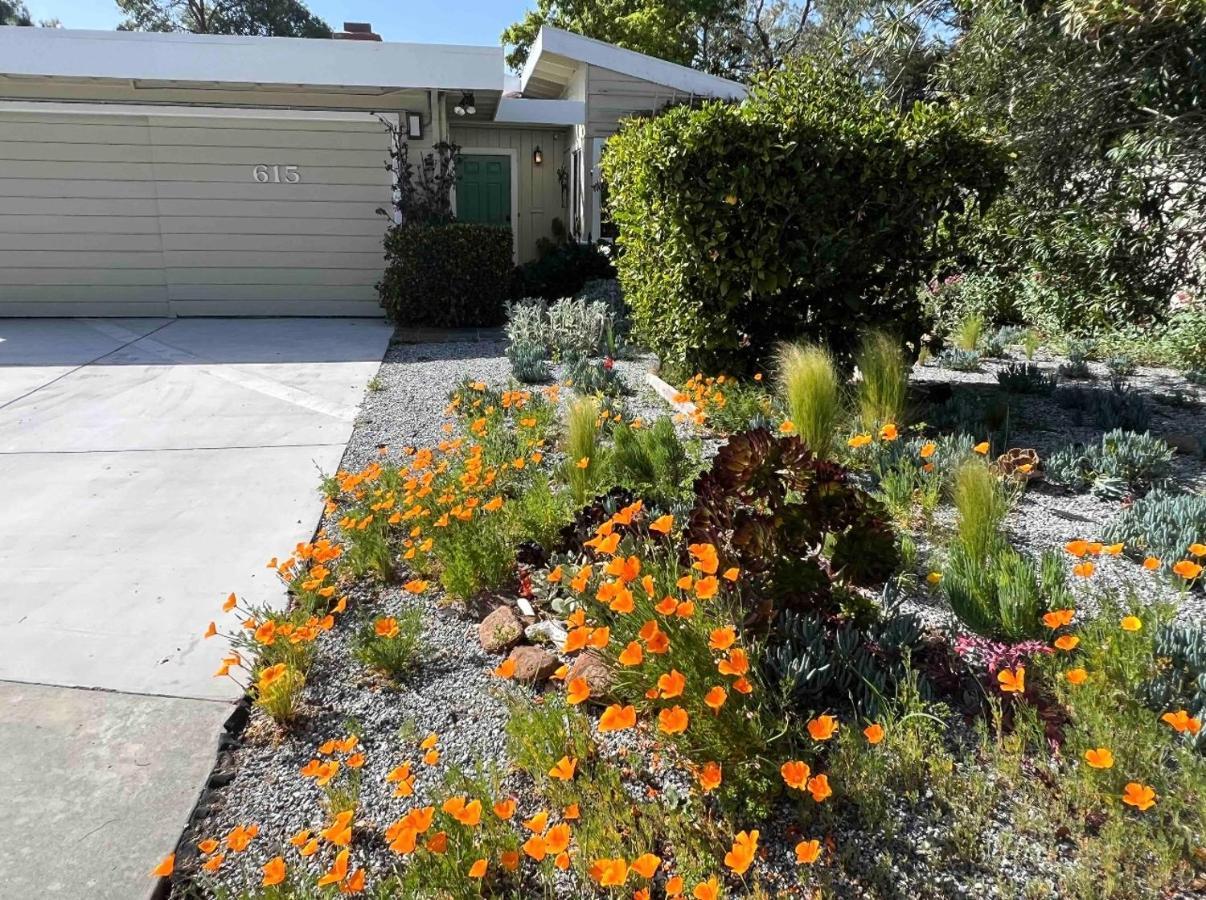 Palo Alto Quiet 1 Bedroom Stanford University מראה חיצוני תמונה